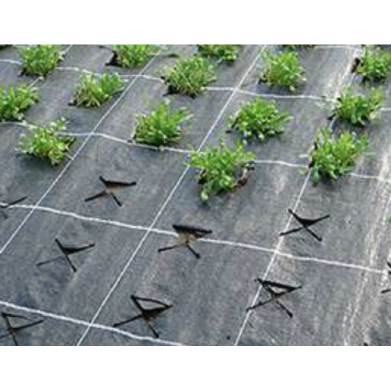 Агроволокно Чорне Р-50, (1,6 м*100 м), Premium - Agro Польща