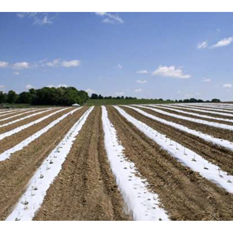 Агроволокно Р-30, (12,65 м*100 м), Premium - Agro Польща